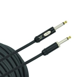 Planet Waves American Stage Kill Switch PW-AMSK-20