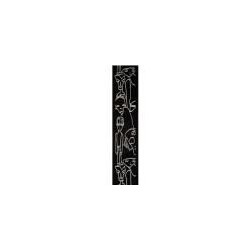 Planet Waves 50JS05