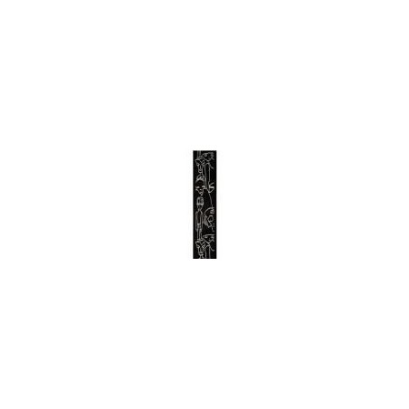 Planet Waves 50JS05