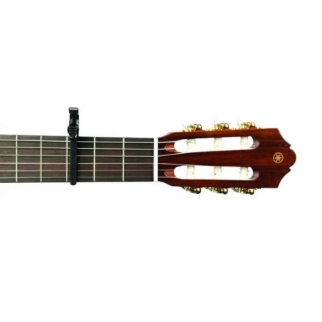 D'Addario PW-CP-13