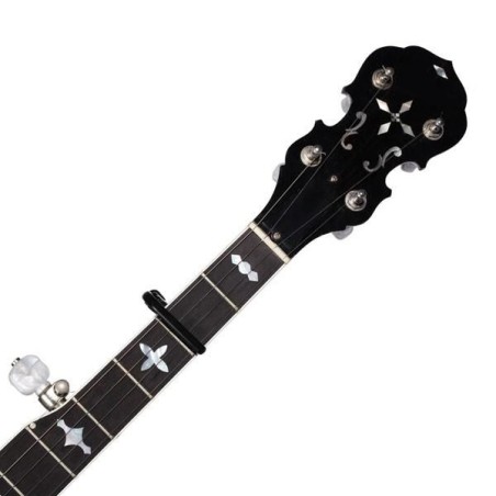 D'Addario NS PW-CP-11