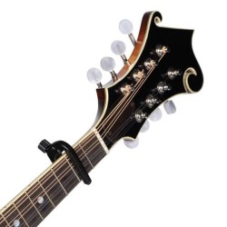D'Addario NS PW-CP-11