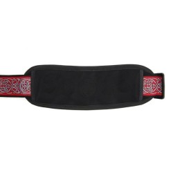 D'Addario PW-GSP