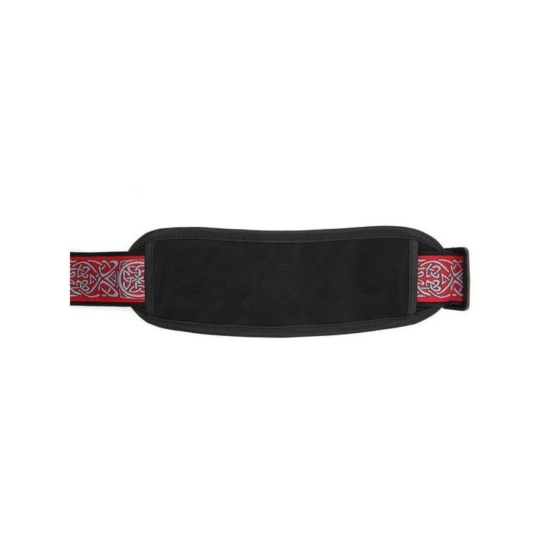 D'Addario PW-GSP