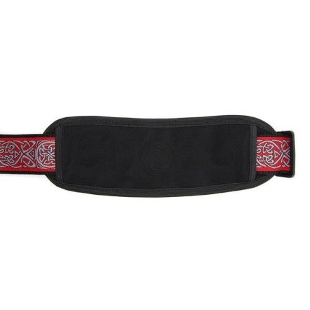 D'Addario PW-GSP