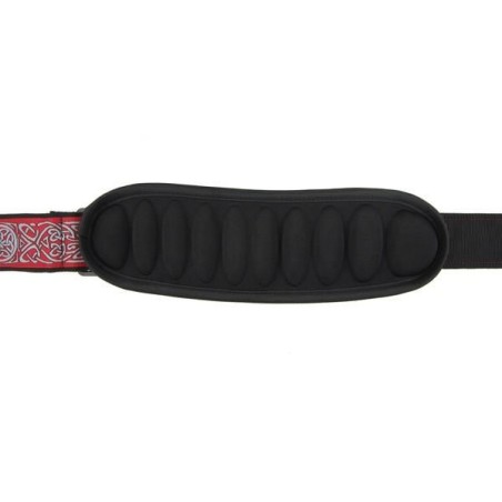 D'Addario PW-GSP