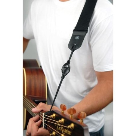 D'Addario DGS15