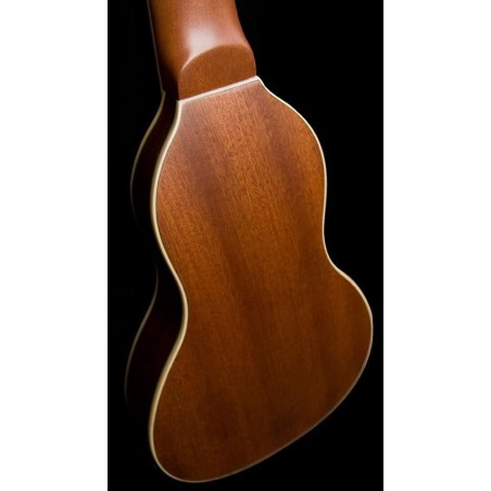 Washburn RO10 N