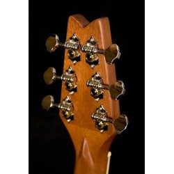 Washburn RO10 N