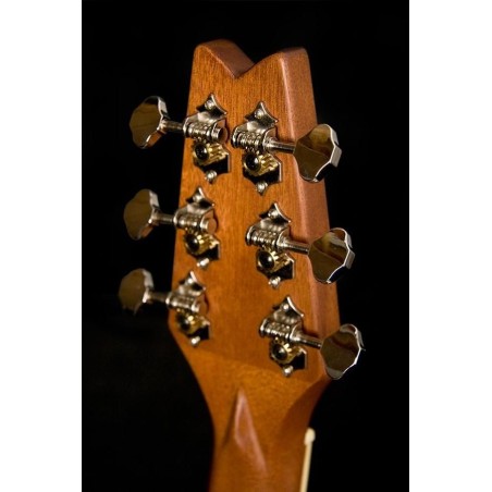 Washburn RO10 N