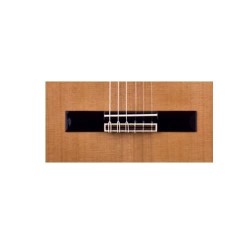 Josè Torres JTC-30