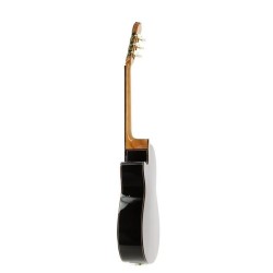 Josè Torres JTC-30CE