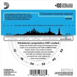 D'Addario EXP11 Light 12-53