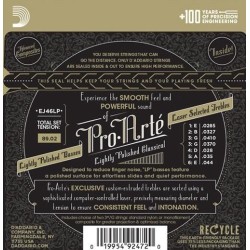 D'Addario EJ46LP Pro Arte Lightly Polished