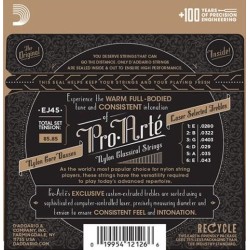D'Addario EJ45 Pro Arte Normal