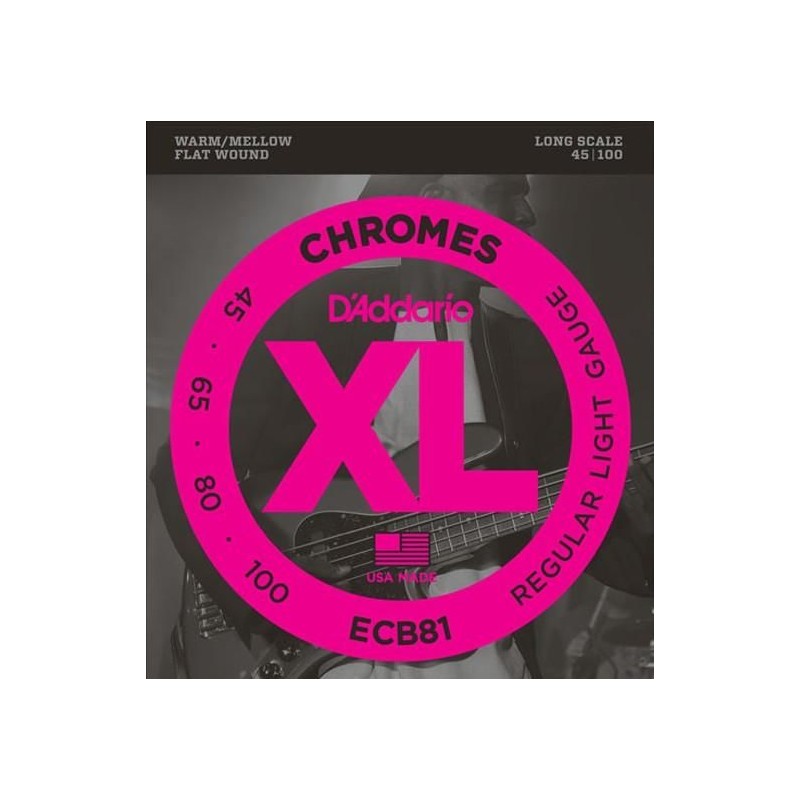 D'Addario ECB81 Regular Light 45-100