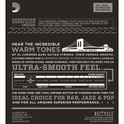 D'Addario ECB81 Regular Light 45-100