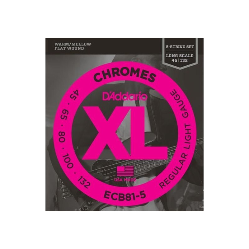 D'Addario ECB81-5 Light 45-132