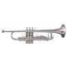 Soundsation STPSL-10 (Bb)