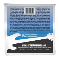 Ernie Ball 2810 5 String Flatwound 45-130