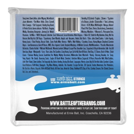 Ernie Ball 2810 5 String Flatwound 45-130