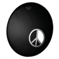 REMO DM-PC06-10 6"