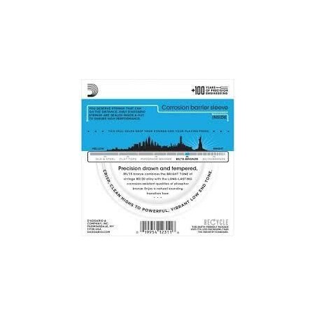 D'Addario EZ940 12 String Light 10-50