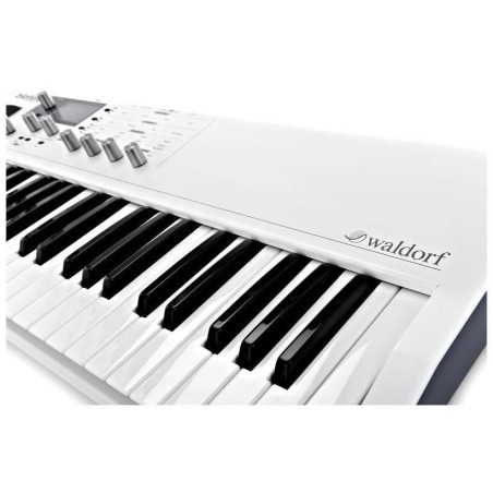 Waldorf Blofeld Keyboard WH