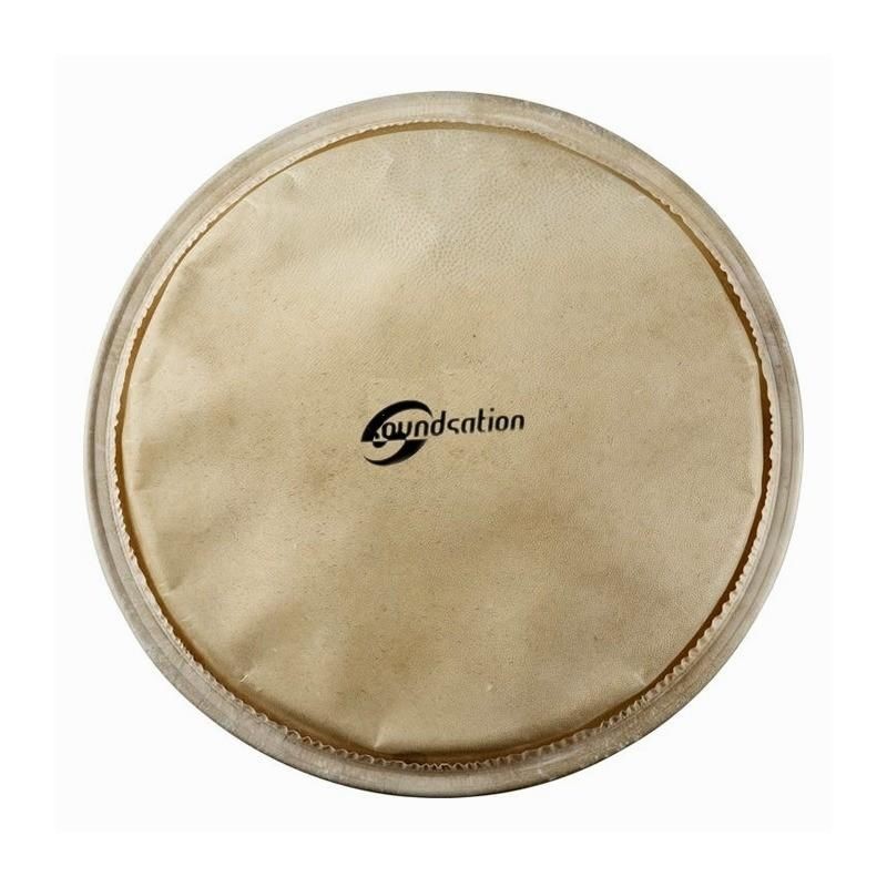 Soundsation SCH-10