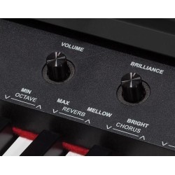 Medeli DP-420K