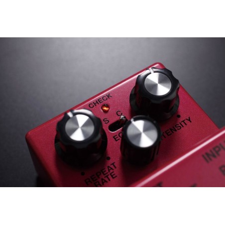 BOSS DM-2W Delay Waza Craft