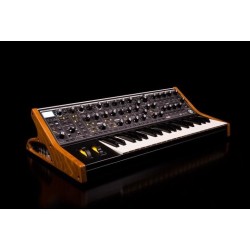 Moog Subsequent 37