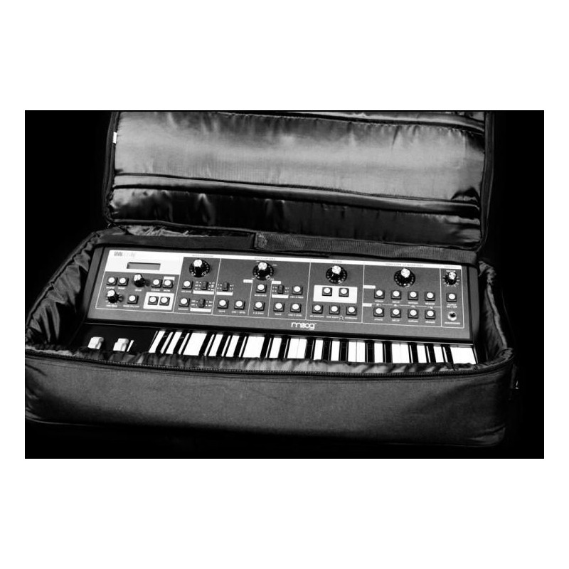 MOOG Gig Bag