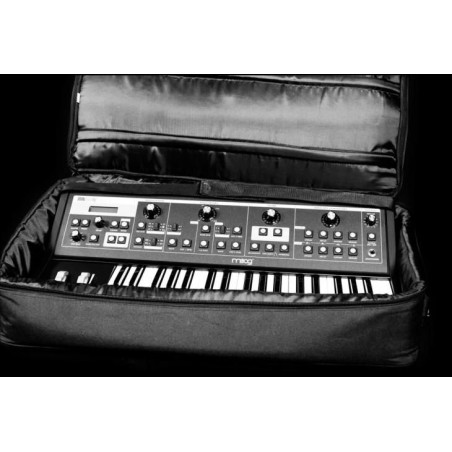 MOOG Gig Bag