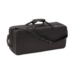 Soundsation STPGD-10C