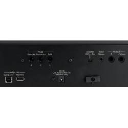 Roland FP-60-BK