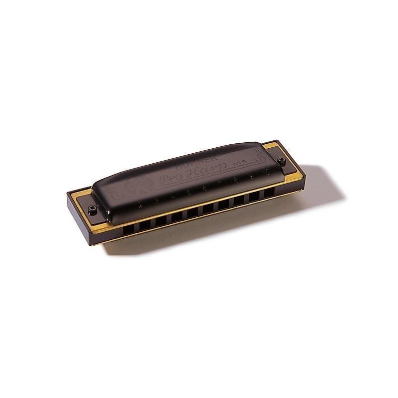 Hohner M564066X Pro Harp