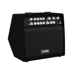 Laney A1+
