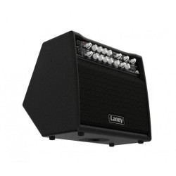 Laney A1+