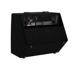 Laney A1+