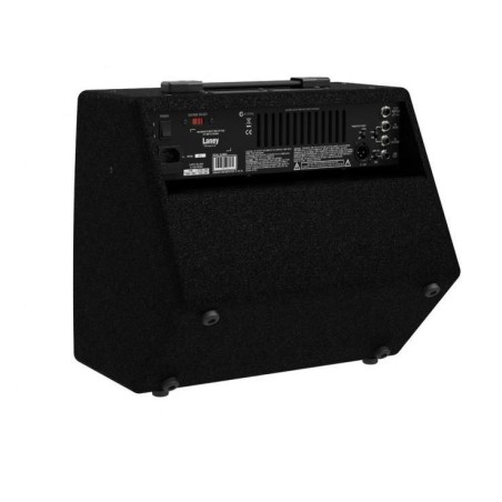 Laney A1+