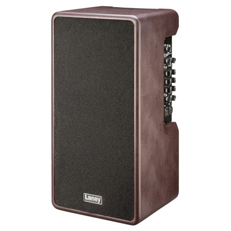 Laney A-Duo