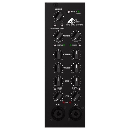 Laney A-Duo