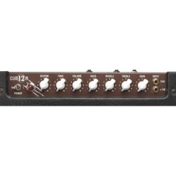 Laney CUB12R