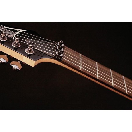 Ibanez S521-MOL