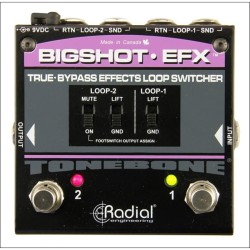 Radial Big Shot EFX REV2