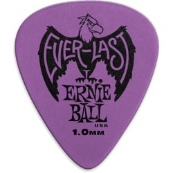 Ernie Ball 9193 1.00 Everlast