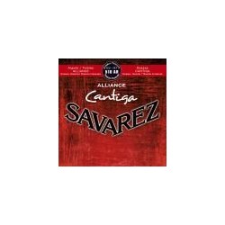 Savarez 510AR