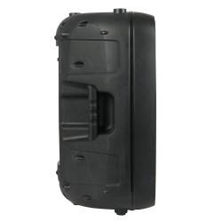 Samson Auro X12D