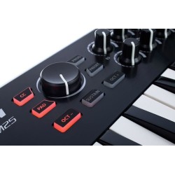 Samson Graphite M25